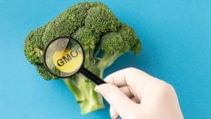 Sicurezza alimentare Manuela Motta